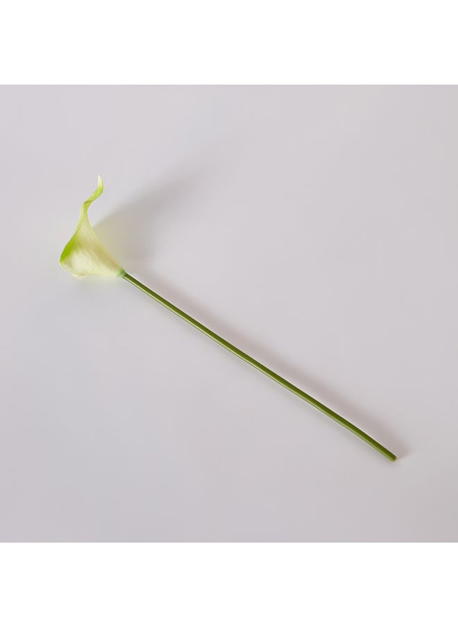 Home Box Aria Calla Lily Flower Stem 36 cm  - Image 5