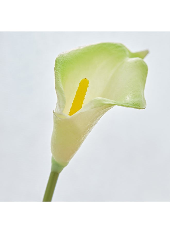 Home Box Aria Calla Lily Flower Stem 36 cm  - Image 3