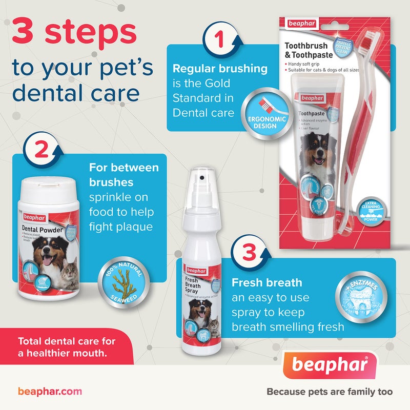 Beaphar Toothbrush and Toothpaste Kit, 100g, 2 Count (Pack of 1) (15303) - Image 3
