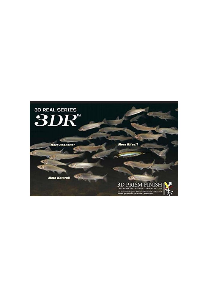 Yo-Zuri 3DR Popper Floating Lure 65MM (2-5/8") - Real Glass Minnow - Image 3