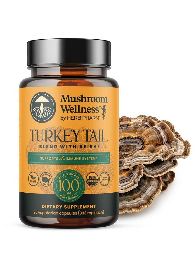 HERB PHARM مزيج فطر ويلنس ذيل الديك الرومي مع ريشي: كبسولات فطر ذيل الديك الرومي وريشي العضوية، مكمل مسحوق الفطر، دعم المناعة والطاقة والحيوية التقليدي، 90 كبسولة نباتية - Image 1