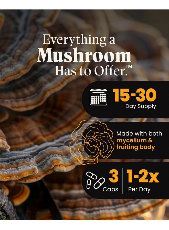 HERB PHARM مزيج فطر ويلنس ذيل الديك الرومي مع ريشي: كبسولات فطر ذيل الديك الرومي وريشي العضوية، مكمل مسحوق الفطر، دعم المناعة والطاقة والحيوية التقليدي، 90 كبسولة نباتية - Image 3