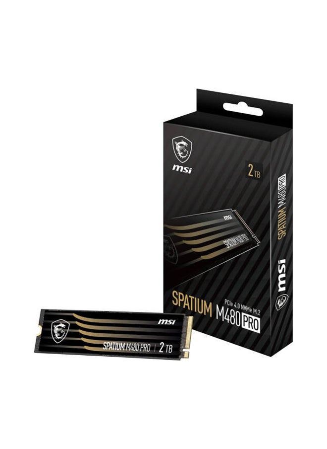 MSI SPATIUM M480 PRO PCIe Gen4x4 M.2 2280 Internal SSD, 2TB Capacity, Up to 7400 MB/s Sequential Read & 7000 MB/s Sequential Write Speed, 1400 TBW, 3D NAND | S78-440Q600-P83 2 TB  - Image 1
