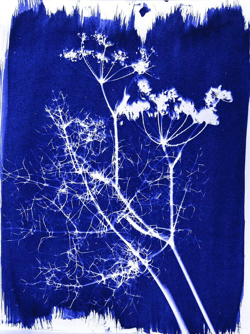 Jacquard Cyanotype Sensitizer Set - Image 4
