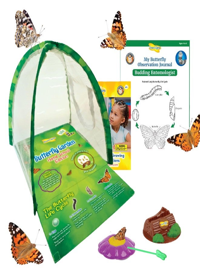 Insect Lore Butterfly Garden Experience | No Fee Prepaid Voucher | Redeem Raise and Release 5 Baby Painted Lady Caterpillars | Observation Habitat and All Supplies Included - Image 1