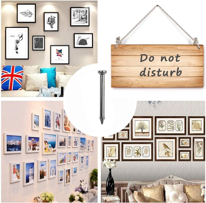 Royal Apex 5 Inch 5kg Common Wire Round Head Nails - Image 4