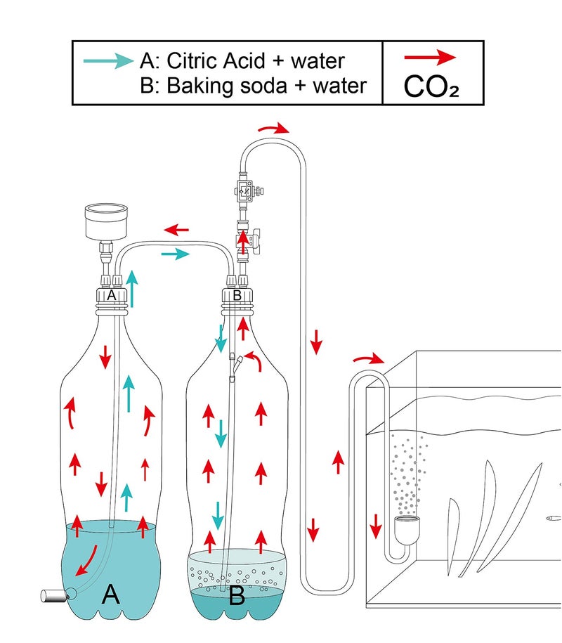 Clscea مجموعة نظام مولد CO2 DIY لحوض السمك Clscea G200 - Image 3