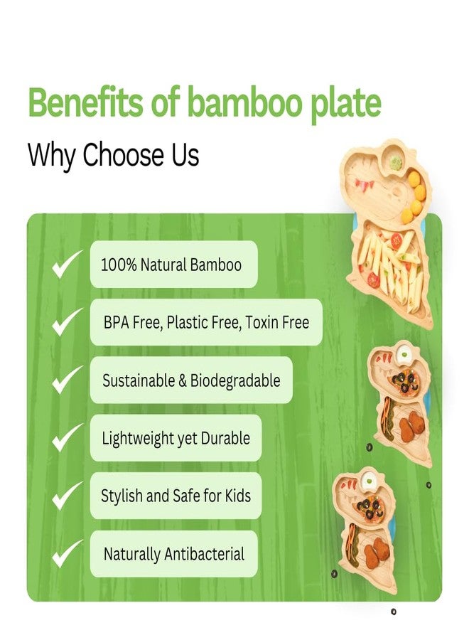 PURELY MAMA Big Tooth - The Dinosaur Bamboo Suction Plate for Toddlers & Kids | BPA-Free, Plastic-Free | Eco-Friendly Weaning Plate | Organic, Non-Toxic | Secure Silicone Base | Fun & Safe Dining - Image 4