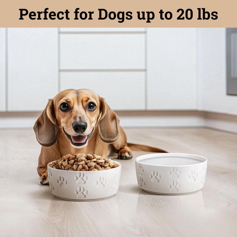 HB Design Co. Ceramic Dog Bowl Set of 2 with Anti-Skid Base - 5" Wide x 2" Tall Ceramic Dog Bowls for Small Dogs - 2 Cup Capacity Food and Water Bowls for Dogs - Rubber Bottom Pet Bowl Set of 2 for Small Pets - Image 5