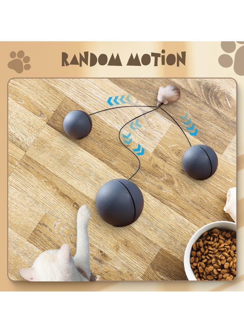 Generic 2 Pieces Interactive Cat Ball Toys, New Self-Moving Rechargeable Dog and Cat Balls, Intelligent Self-Rolling Motion-Activated Enrichment Toys for Bored Indoor Cats and Dogs  - Image 2