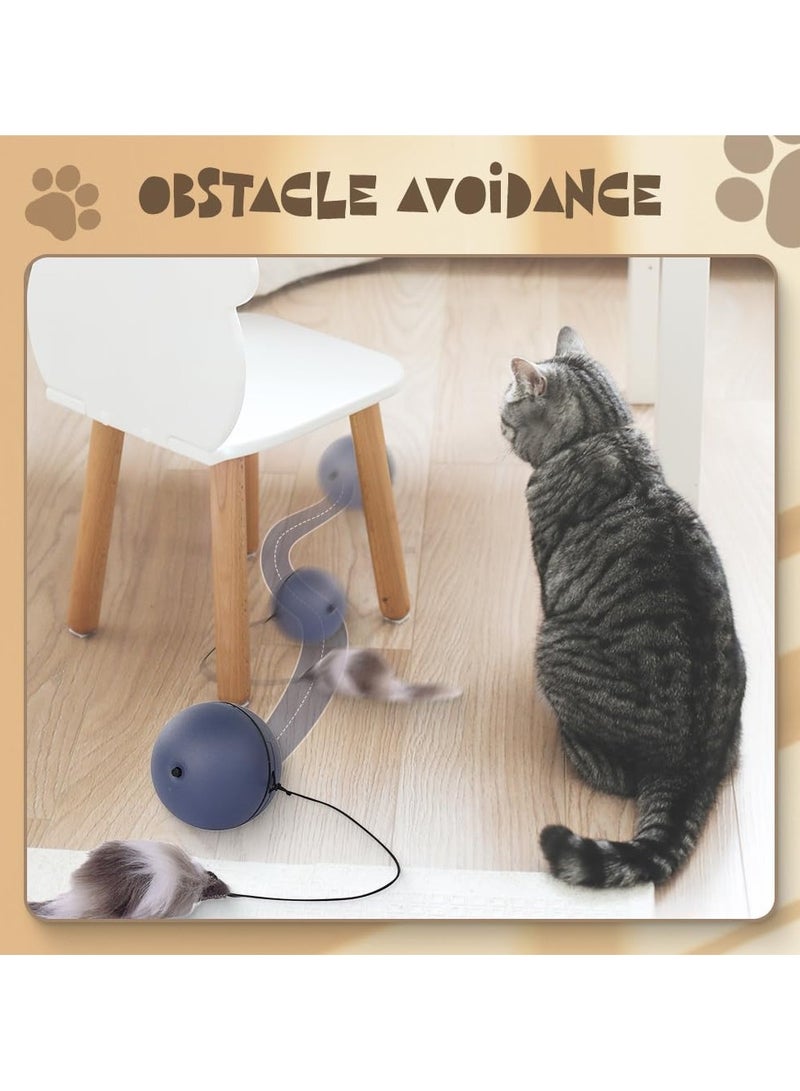 Generic 2 Pieces Interactive Cat Ball Toys, New Self-Moving Rechargeable Dog and Cat Balls, Intelligent Self-Rolling Motion-Activated Enrichment Toys for Bored Indoor Cats and Dogs  - Image 3