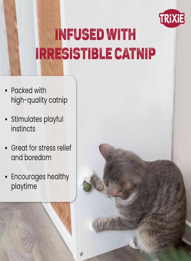 Trixie Catnip Ball with Holder | Interactive Cat Toy | Natural Catnip Stimulates Play & Exercise | Reduces Stress & Boredom | Safe & Durable Design for Indoor Cats of All Breeds (5 cm) - Image 5