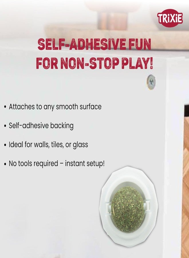 Trixie Catnip Ball with Holder | Interactive Cat Toy | Natural Catnip Stimulates Play & Exercise | Reduces Stress & Boredom | Safe & Durable Design for Indoor Cats of All Breeds (5 cm) - Image 4