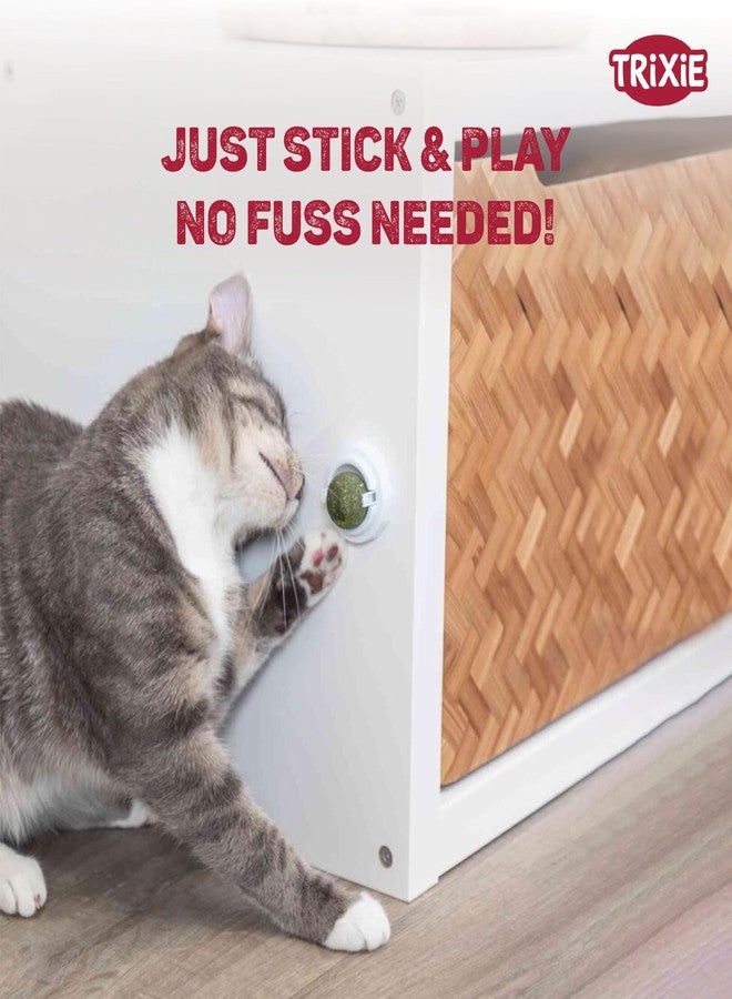 Trixie Catnip Ball with Holder | Interactive Cat Toy | Natural Catnip Stimulates Play & Exercise | Reduces Stress & Boredom | Safe & Durable Design for Indoor Cats of All Breeds (5 cm) - Image 3