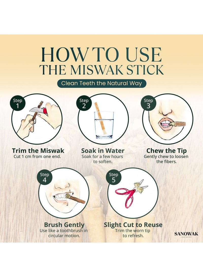 Sanowak Black Zeitoun Miswak / Siwak Sticks – 5 Olive Wood Toothbrushes with FREE Plastic Holder | Teeth Whitening & Oral Care | 100% Chewable & Antibacterial | Eco-Friendly & Vacuum Sealed - Image 4