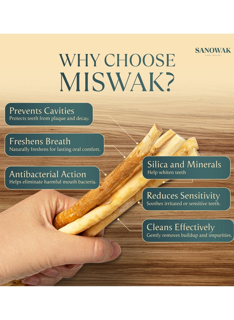 Sanowak Black Zeitoun Miswak / Siwak Sticks – 5 Olive Wood Toothbrushes with FREE Plastic Holder | Teeth Whitening & Oral Care | 100% Chewable & Antibacterial | Eco-Friendly & Vacuum Sealed - Image 5