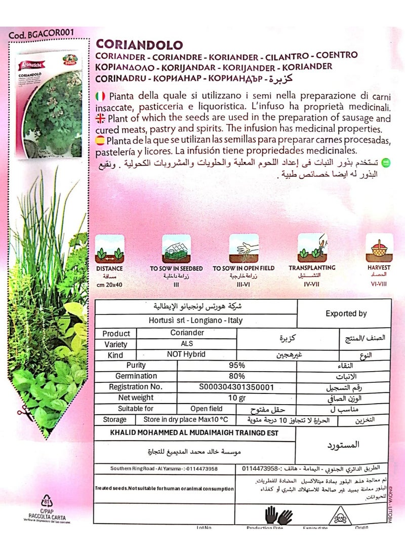 زورزي - بذور كزبرة - Image 1
