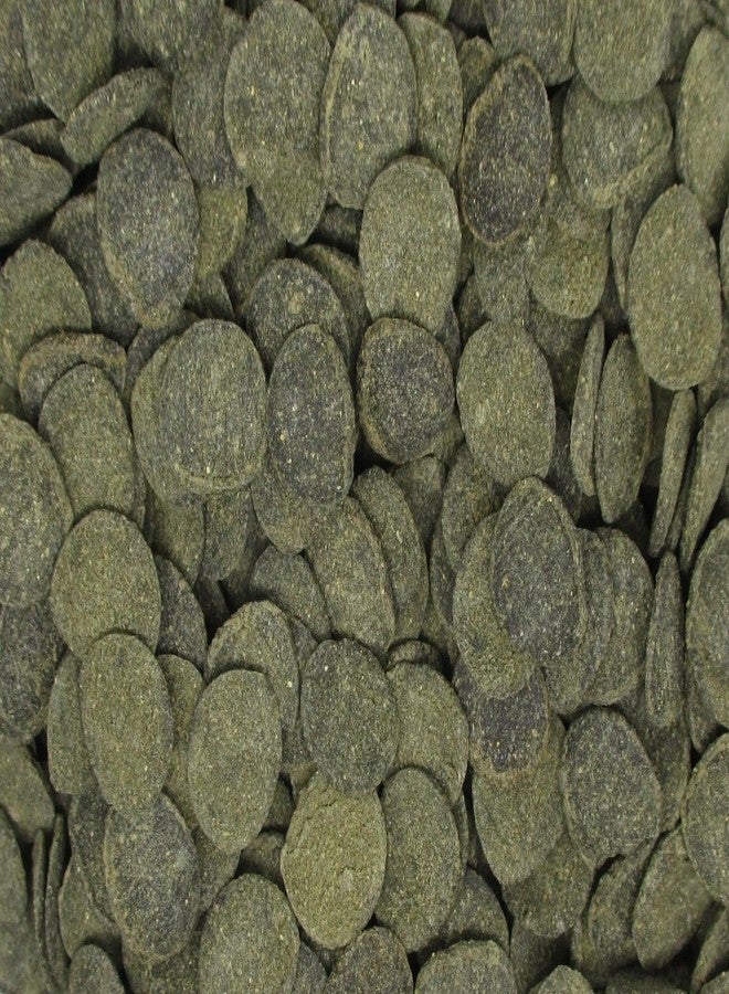 Invert Aquatics Mini Algae Discs - Sinking Diet for Snails, Shrimp & Bottom Feeding Fish (3oz (85g)) - Image 2