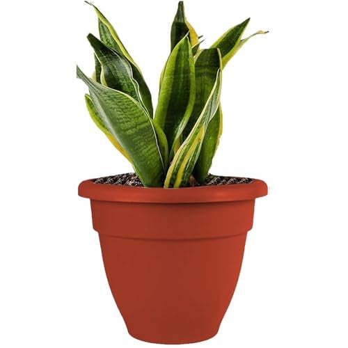 SOUVENIR Imaginea 18 Inch Flower Pots| Garden Planters For Home Plants | Outdoor Balcony Pots | Plastic Gamla Pots For Indoor And Outdoor Gardening (Pack Of 1),Red - Image 1