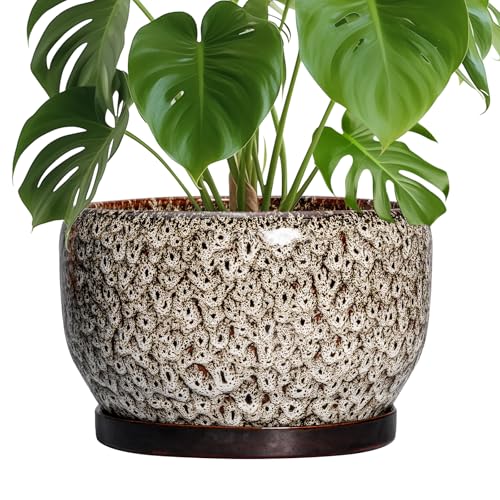SQOWL Ceramic Plant Pots - 10 Inch Planter for Indoor Plants Outdoor, Large Flower Pots with Drainage Hole and Saucer, Decorative Round Planter, Apartment Decor, Garden Gifts for Women, White - Image 1