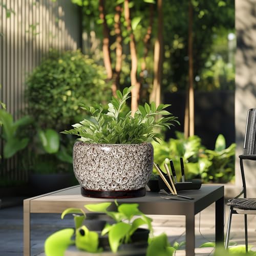 SQOWL Ceramic Plant Pots - 10 Inch Planter for Indoor Plants Outdoor, Large Flower Pots with Drainage Hole and Saucer, Decorative Round Planter, Apartment Decor, Garden Gifts for Women, White - Image 5
