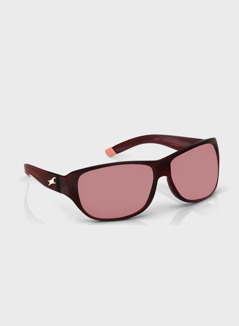 fastrack Pilot Sunglasses