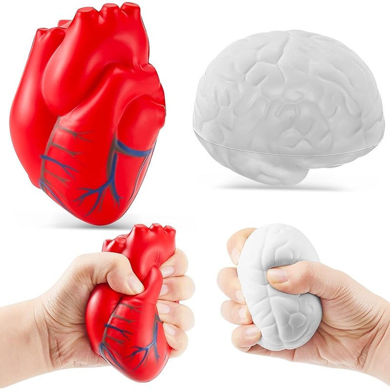 LAFALA Anatomy Stress Toy Set 2 Pieces Heart Stress Balls with Squishy Brain PU foam Stress Ball Zombie Fake Healthcare Anatomy Stress Ball for Relief Stress - Image 1