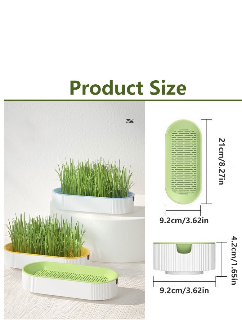 3PCS Household Cat Grass Planter, Plastic Catnip Cat Grass Box, Hydroponic Box Nursery Plants for Pet（blue, green, yellow） - Image 2