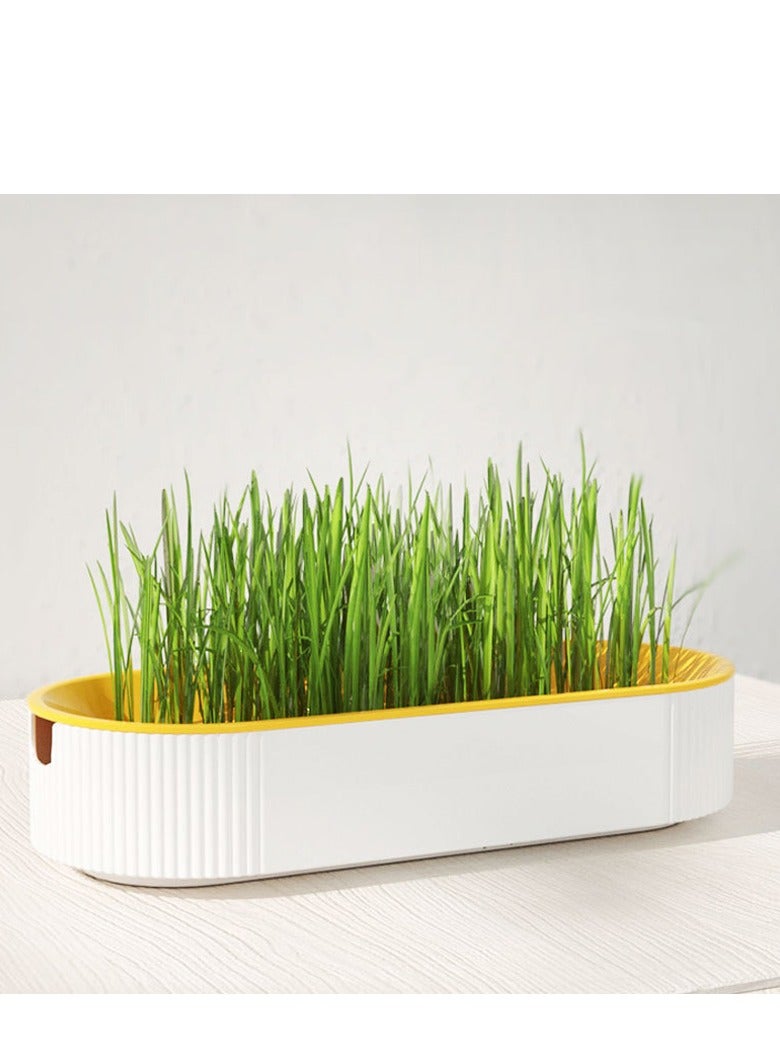3PCS Household Cat Grass Planter, Plastic Catnip Cat Grass Box, Hydroponic Box Nursery Plants for Pet（blue, green, yellow） - Image 3