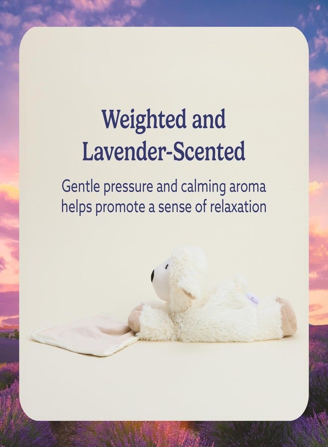 warmies Stuffed Animal Security Blankets for Babies, Sheep - Microwavable & Weighted Stuffed Animal Blanket for Baby Boys & Girls - Cute Soft Plush Toys with Child Safe Design for All Ages - Image 4