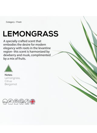 Dr Scent Diffuser Aroma Oil Lemongrass - Lemongrass and Citrus Fragrance Notes | Made in the UK | Perfect for Offices, Homes, Shops, Hotel Rooms & Big Lobbies(170ml) - view 2