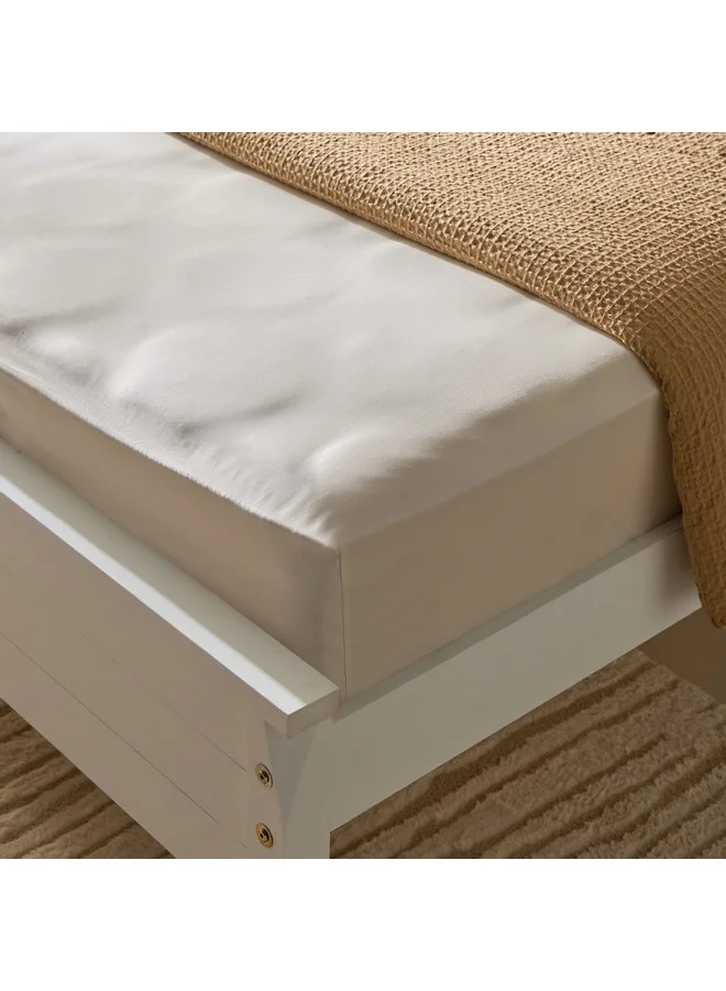 Home Box Opulent Luxe Solid Cotton Queen Fitted Sheet 200 x 40 x 150 cm
