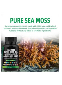 BIYODE Organic Sea Moss Capsules - Burdock Root, Irish Moss and Bladderwrack Capsules for Immune System, Gut, Skin & Energy - 60 Irish SeaMoss Pills with Raw Sea Moss Powder  - Image 4