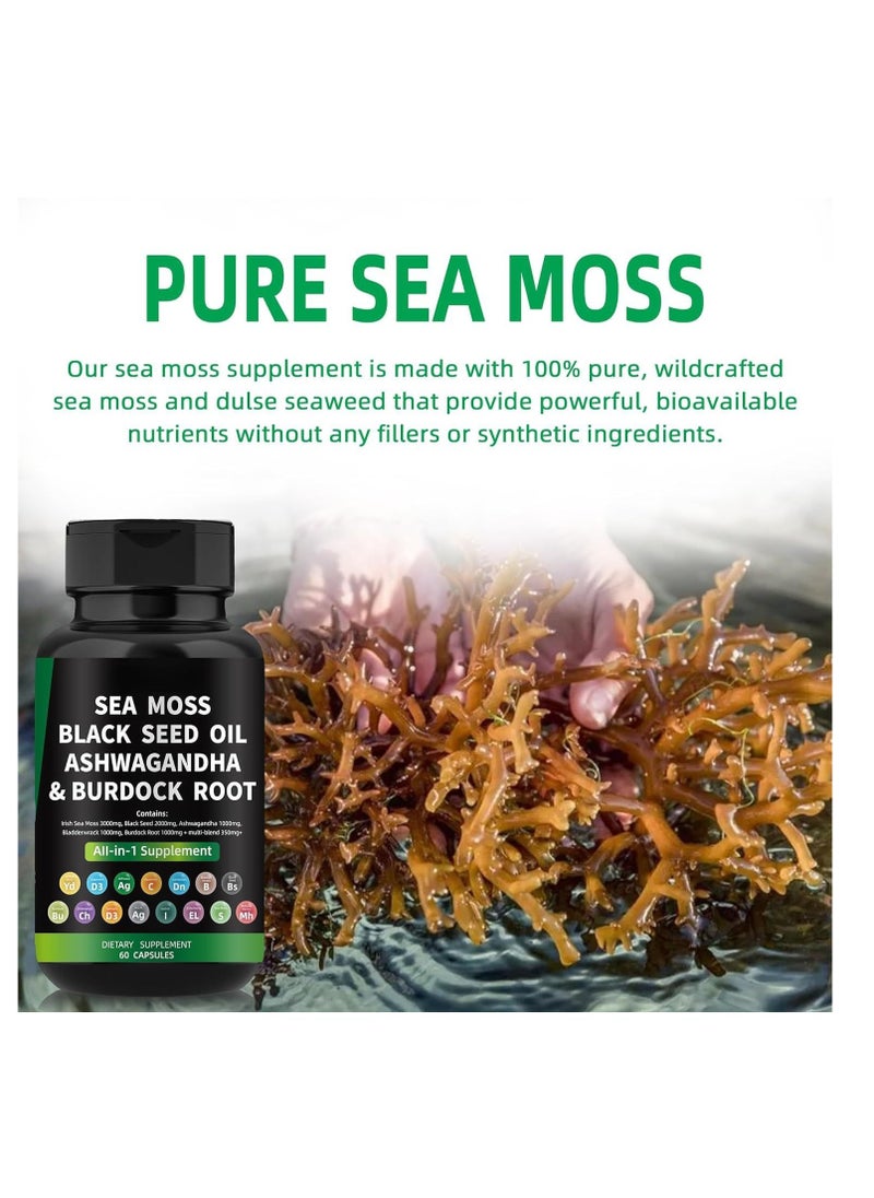 BIYODE Organic Sea Moss Capsules - Burdock Root, Irish Moss and Bladderwrack Capsules for Immune System, Gut, Skin & Energy - 60 Irish SeaMoss Pills with Raw Sea Moss Powder  - Image 4