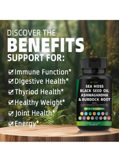 BIYODE Organic Sea Moss Capsules - Burdock Root, Irish Moss and Bladderwrack Capsules for Immune System, Gut, Skin & Energy - 60 Irish SeaMoss Pills with Raw Sea Moss Powder  - Image 5
