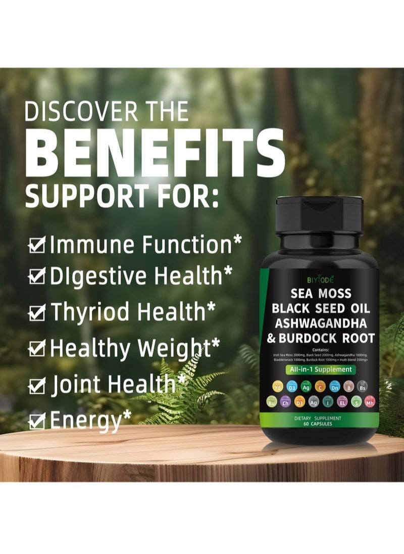 BIYODE Organic Sea Moss Capsules - Burdock Root, Irish Moss and Bladderwrack Capsules for Immune System, Gut, Skin & Energy - 60 Irish SeaMoss Pills with Raw Sea Moss Powder  - Image 5