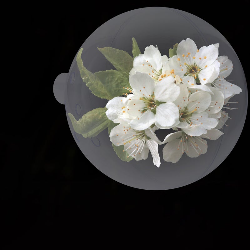 Clear Ball for Flower Wrapping, Enhances Bouquet Presentation, Durable Material - Image 3