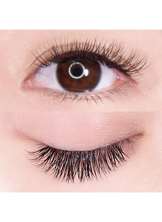 فولا Classic Sable Flat 12 Lines D Curl 0.20mm Size Mix - Image 4