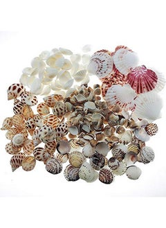 Wankko 300Pcs Sea Shells Mixed Ocean Beach Seashells, Various Sizes Natural Seashells For Fish Tank, Home Decorations, Beach Theme Party, Candle Making, Wedding Decor, Diy Crafts, Fish Tan  - Image 3
