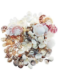 Wankko 300Pcs Sea Shells Mixed Ocean Beach Seashells, Various Sizes Natural Seashells For Fish Tank, Home Decorations, Beach Theme Party, Candle Making, Wedding Decor, Diy Crafts, Fish Tan  - Image 2