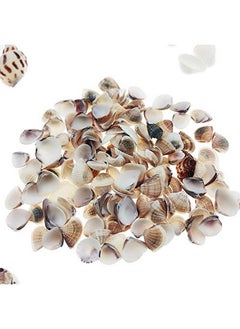 Wankko 300Pcs Sea Shells Mixed Ocean Beach Seashells, Various Sizes Natural Seashells For Fish Tank, Home Decorations, Beach Theme Party, Candle Making, Wedding Decor, Diy Crafts, Fish Tan  - Image 5