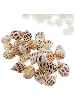 Wankko 300Pcs Sea Shells Mixed Ocean Beach Seashells, Various Sizes Natural Seashells For Fish Tank, Home Decorations, Beach Theme Party, Candle Making, Wedding Decor, Diy Crafts, Fish Tan  - Image 4