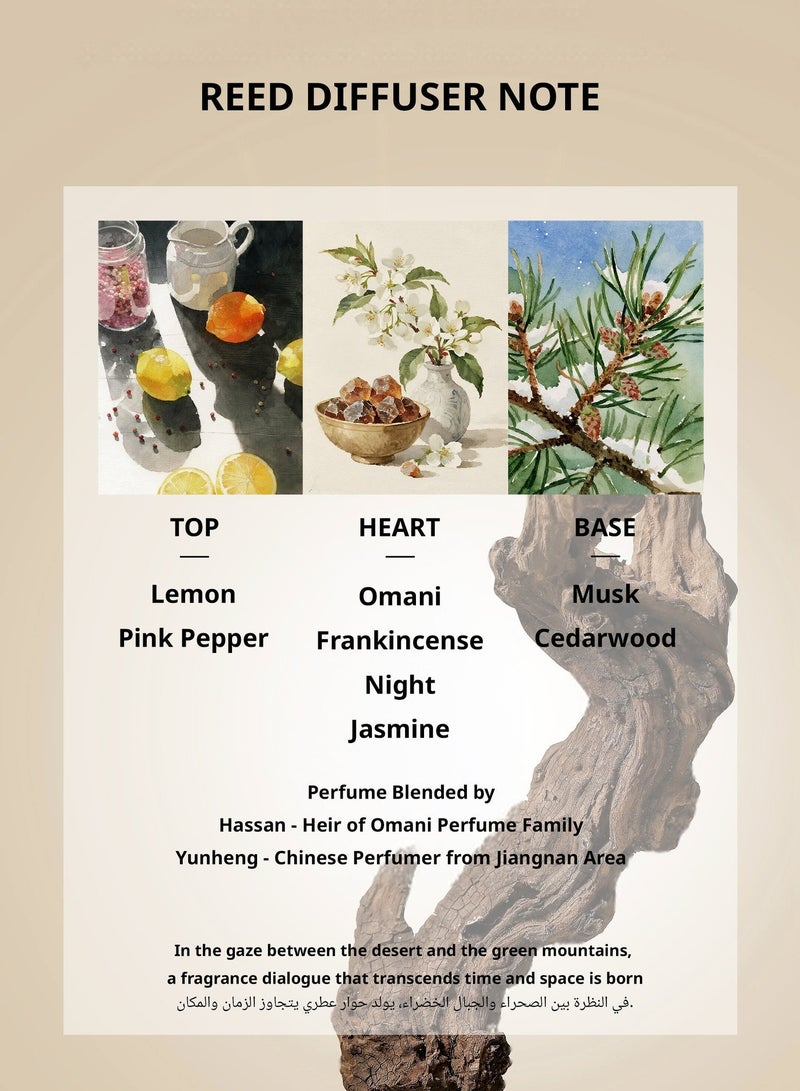Cedarwave Reed Diffuser Frankincense Serenity Oman  | Premium Omani Frankincense Scent for Home, Meditation, & Spa | Long-Lasting Aroma with Luxury Design - Image 3