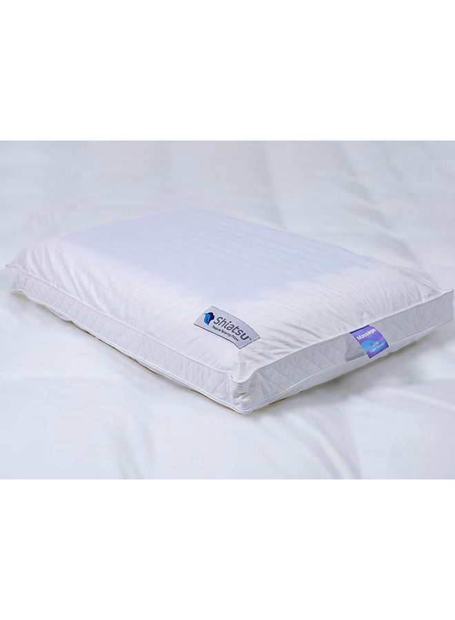 Cannon Shiatsu Massage Classic Pillow 40X66X14Cm  - Image 1