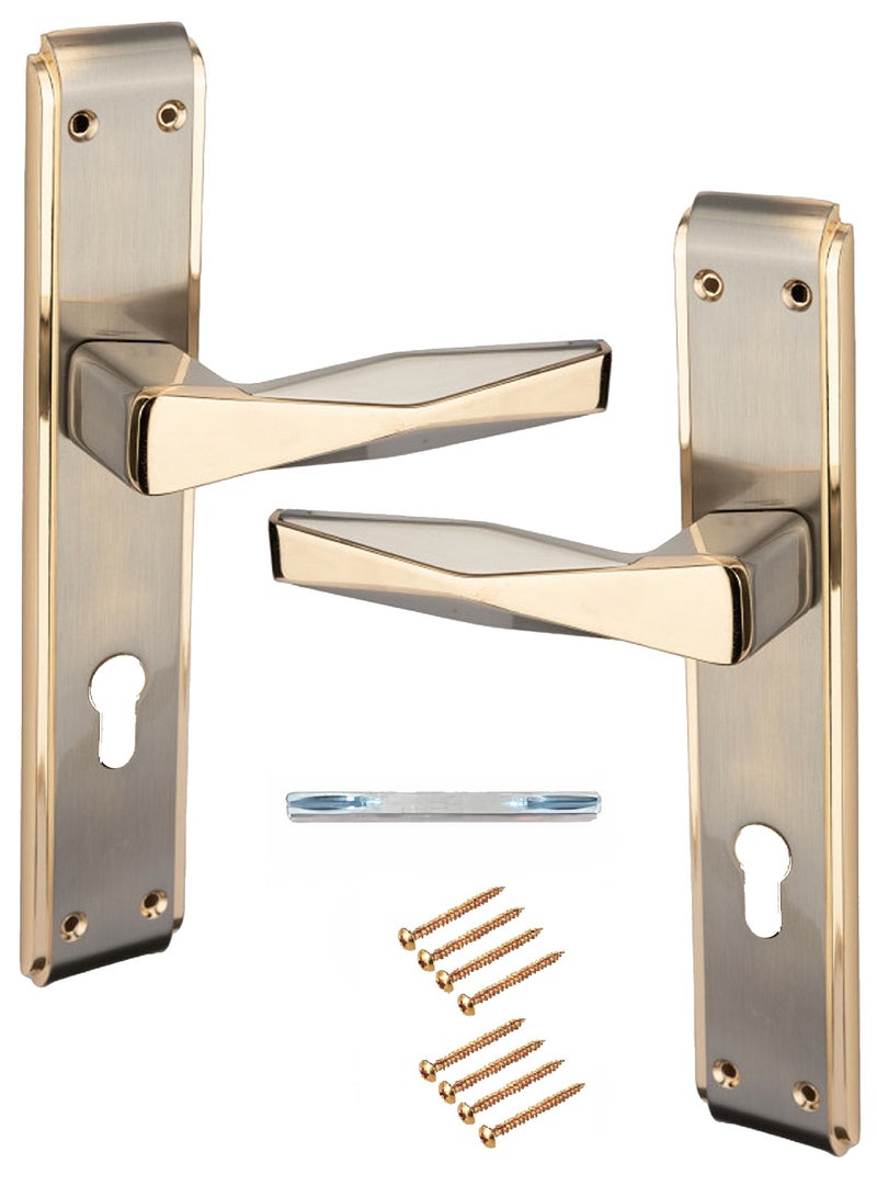 Pair Of Heavy Duty Door Handles Silver/Golden Colour
