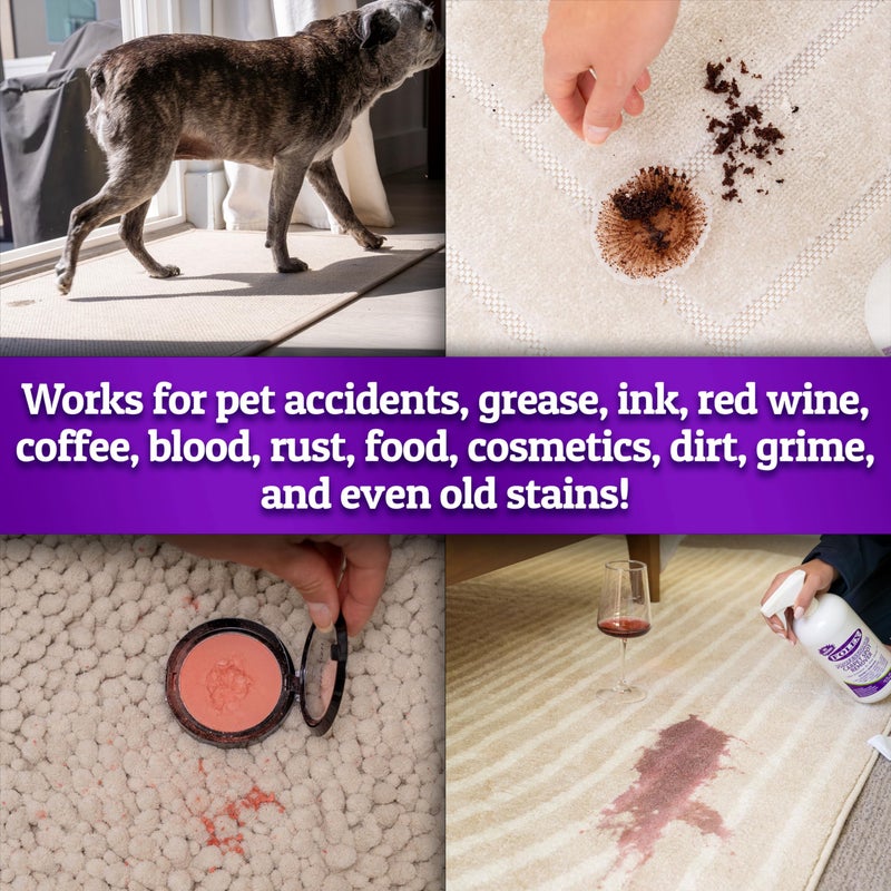 Folex FOLEX PROFESSIONAL Carpet Spot Remover, 34oz  - Image 4