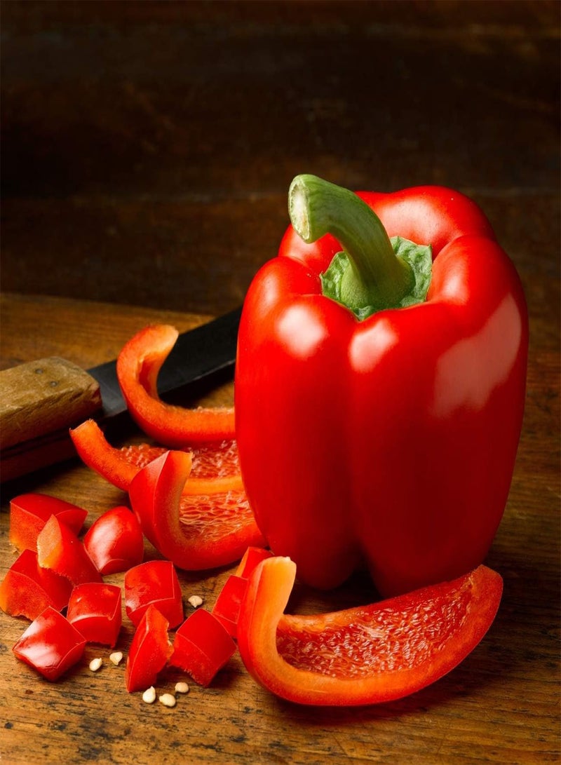 GGOOT Vegetable Seeds, Sweet Pepper - Californian Wonder, V-CAP-01, 50 Seeds Minimum Per Packet. - Image 2