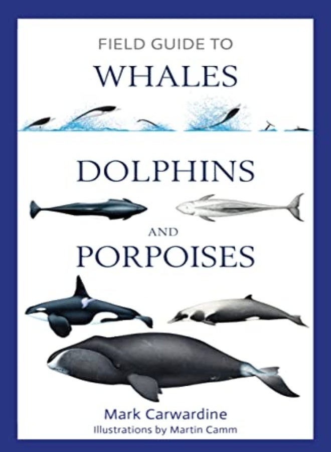 FGT WHALES DOLPHINS & PORPOISES