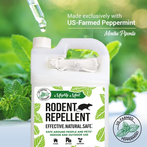 Mighty Mint رذاذ طارد القوارض بزيت النعناع القوي مع قطعة قماش ميكروفايبر – تحكم طبيعي داخلي وخارجي للفئران والجرذان – تركيبة نباتية، قوية للغاية - 1 جالون (128 أونصة) - Image 5