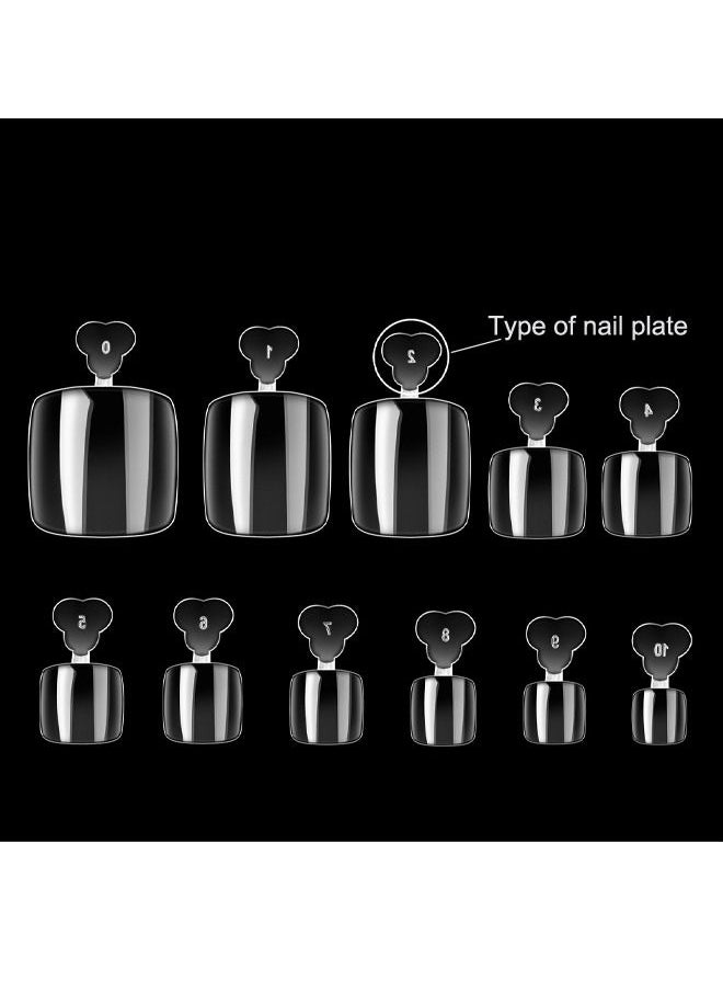 Generic - False Toenails Tip with Box 550 Pieces Acrylic Artificial Toenails French Full Cover Toe Art Nails Fake Tips for Women 10 Sizes for Nail Salon and DIY Foot Decoration Clear - Image 1
